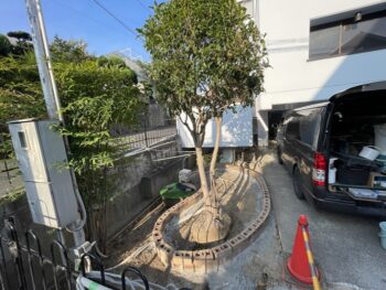 大阪府茨木市の外構リフォームで植栽スペースを花壇へと変更しました。整地した後レンガで丸みのある花壇を作りそこへ既存の植木を一本残すことになりました